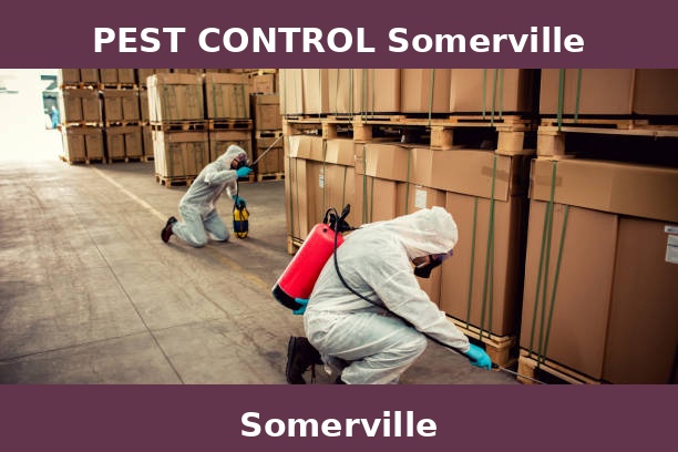 PEST CONTROL Somerville